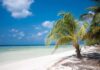 Tropical beach with palm trees and clear blue water under a bright sky