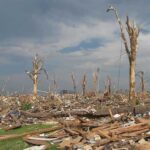 A landscape showing destruction from a natural disaster with fallen trees and debris scattered across the ground