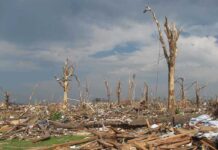 Disaster — 900 Dead, President Stalls Aid A landscape showing destruction from a natural disaster with fallen trees and debris scattered across the ground
