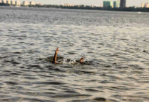 Husband’s FATE After Wife Vanishes at Sea Persons hand reaching out from the water.