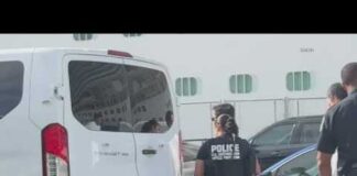 Federal agents seen detaining Disney cruise ship staffers