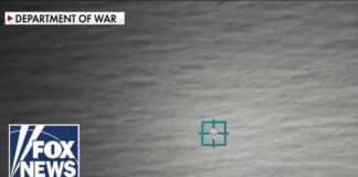 BREAKING: Trump releases UFO, alien life files