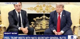 President Trump meets with NATO Secretary-General Rutte at the White House: LIVE