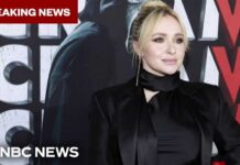 Hollywood Stunner: Beloved Actress Dies at 36 Actress Hayden Panettiere dies at 36