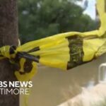 Man charged with murder after allegedly shoving man into Baltimore's harbor