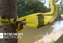 Stranger Fight Ends With Man Dead in Water Man charged with murder after allegedly shoving man into Baltimore's harbor
