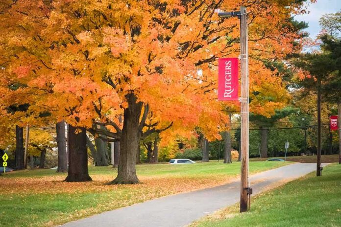 shutterstock_1222049767-1 Autumn trees along a campus pathway with red banners on poles
