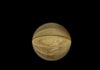 Congress Axes: Penny Production Halt Gains Momentum Gold coin distorted through a crystal ball on black background