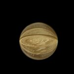 Gold coin distorted through a crystal ball on black background