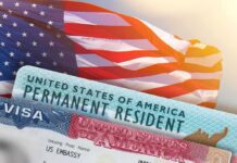 Legal Immigration Falls From 21,096 to 808 U.S. flag with visa and permanent resident cards