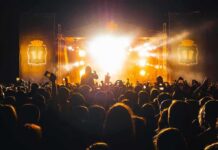 Artist Dropped From Tour After Gaza Remarks Crowd at a nighttime concert with bright stage lights