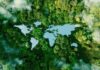 Satellite Images Reveal Growing Amazon Fire Wave Aerial view of a forest surrounding a lake shaped like a butterfly