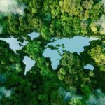 Satellite Images Reveal Growing Amazon Fire Wave Aerial view of a forest surrounding a lake shaped like a butterfly