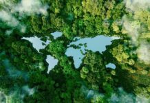 Satellite Images Reveal Growing Amazon Fire Wave Aerial view of a forest surrounding a lake shaped like a butterfly