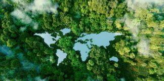 Aerial view of a forest surrounding a lake shaped like a butterfly