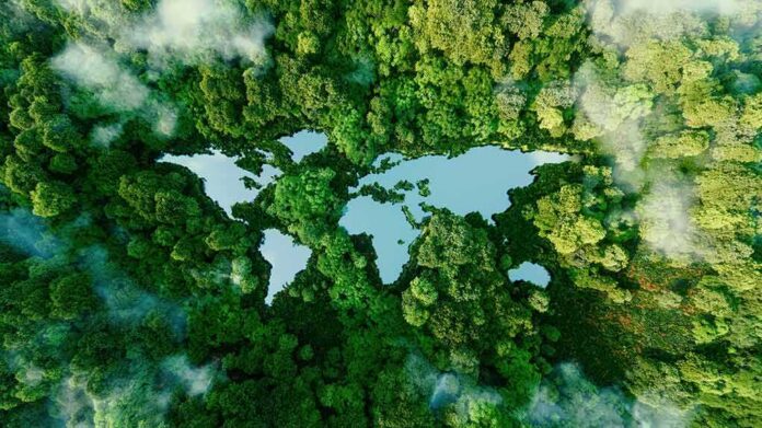 Aerial view of a forest surrounding a lake shaped like a butterfly