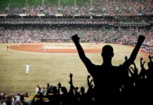 Crowd of fans cheering at a baseball game in a stadium